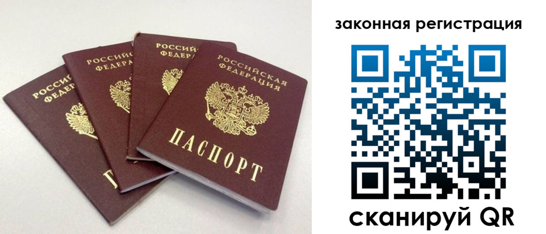 временная прописка в Кингисеппе